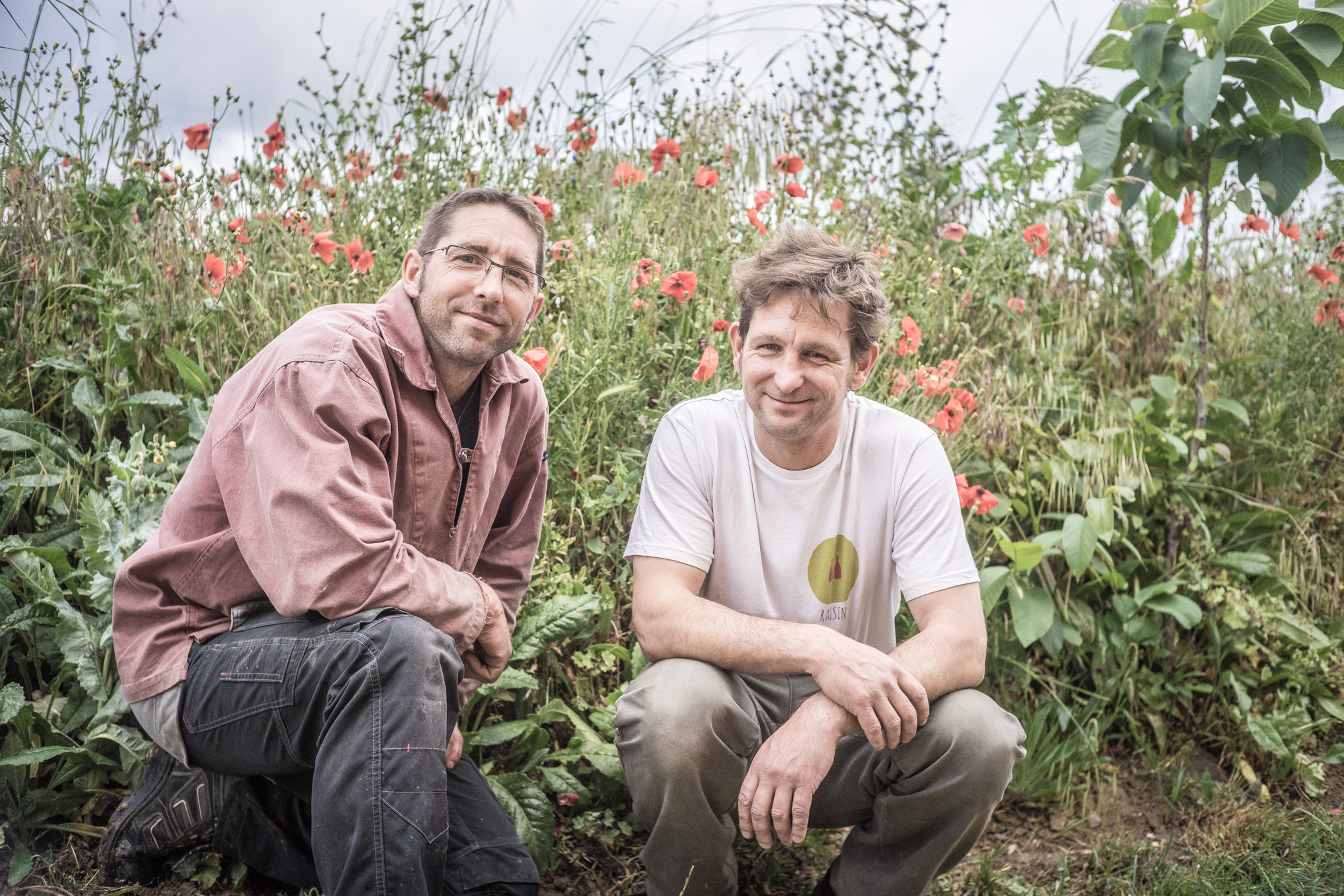 Cyril et Fabien Boisard – Domaine du Mortier